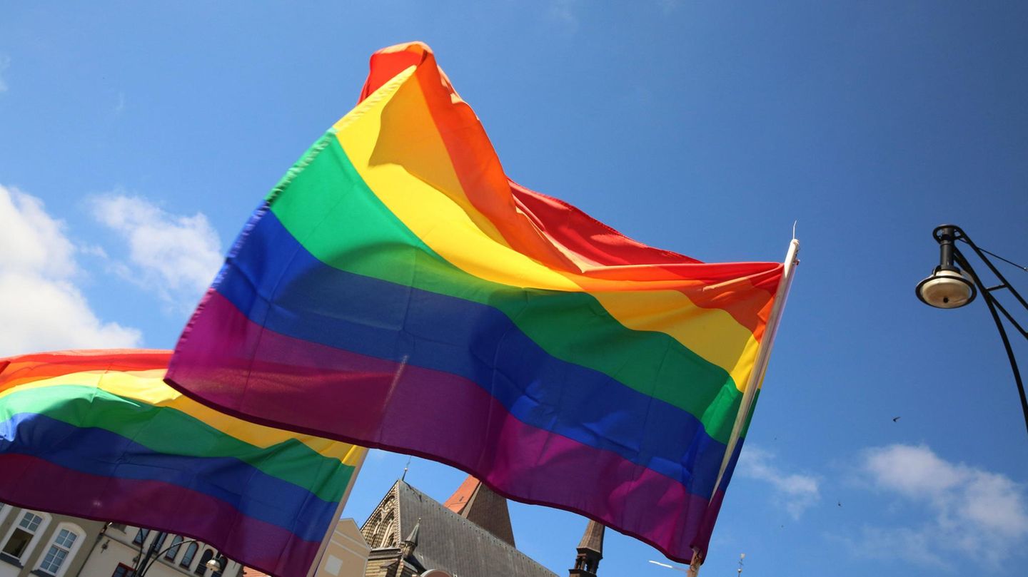 Survey: AfD for gay voters supposedly strong – doubts about representativity
