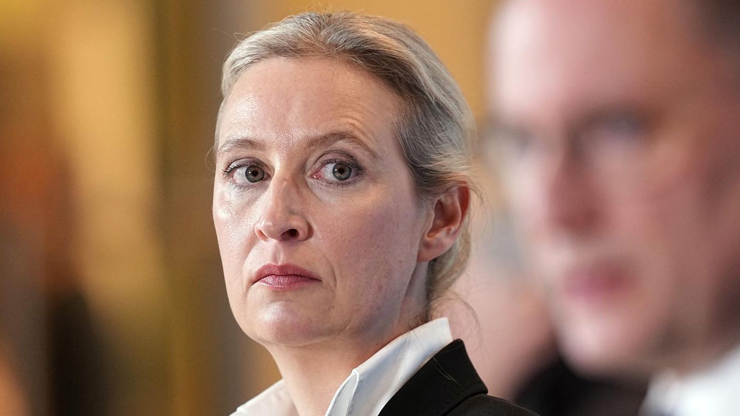 AfD-Kanzlerkandidatin: Kurz vor der Wahl macht der CDU-Vorsitzende und Kanzlerkandidat der Union, Friedrich Merz, der AfD ein Wahlgeschenk. Er lässt im Bundestag über zwei Anträge und ein Gesetz zur Verschärfung der Migrationspolitik abstimmen – und nimmt die Stimmen der AfD in Kauf. Auch wenn nur ein Antrag angenommen wird, für die AfD ist es dennoch ein Coup, den sie feiert. Auf der Pressekonferenz nach der historischen Abstimmung blickt Weidel staatstragend. Zum ersten Mal haben die Union und die AfD im Bundestag gemeinsam für ein Gesetz gestimmt. Das mag Weidel für das große Ziel beflügeln, 2029 Kanzlerin zu werden Kurz vor der Wahl macht der CDU-Vorsitzende und Kanzlerkandidat der Union, Friedrich Merz, der AfD ein Wahlgeschenk. Er lässt im Bundestag über zwei Anträge und ein Gesetz zur Verschärfung der Migrationspolitik abstimmen – und nimmt die Stimmen der AfD in Kauf. Auch wenn nur ein Antrag angenommen wird, für die AfD ist es dennoch ein Coup, den sie feiert. Auf der Pressekonferenz nach der historischen Abstimmung blickt Weidel staatstragend. Zum ersten Mal haben die Union und die AfD im Bundestag gemeinsam für ein Gesetz gestimmt. Das mag Weidel für das große Ziel beflügeln, 2029 Kanzlerin zu werden