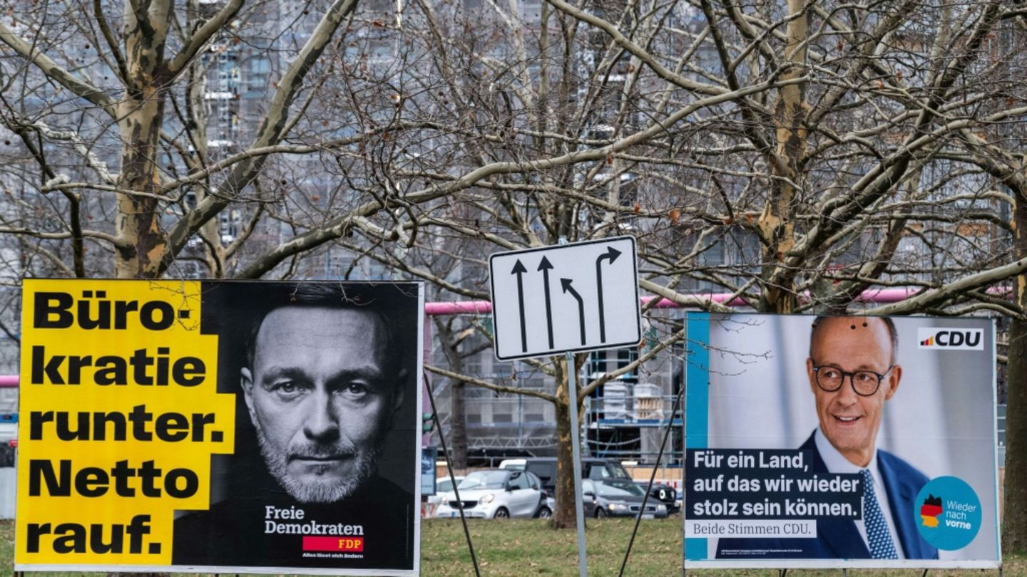 Wahlplakate mit Lindner und Merz