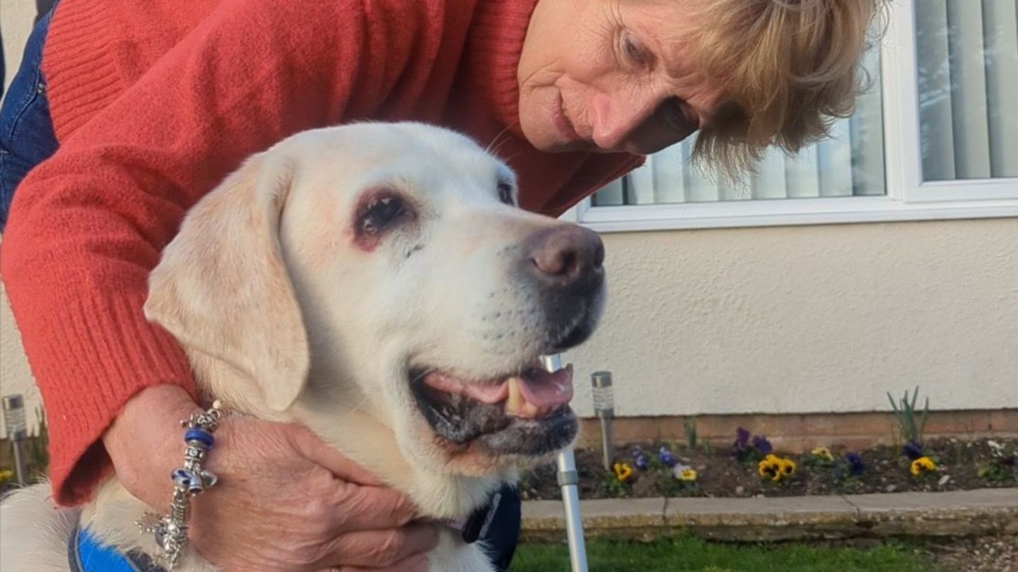 Nach sieben Jahren kann Rita Potter ihren Hund wieder in die Arme schließen