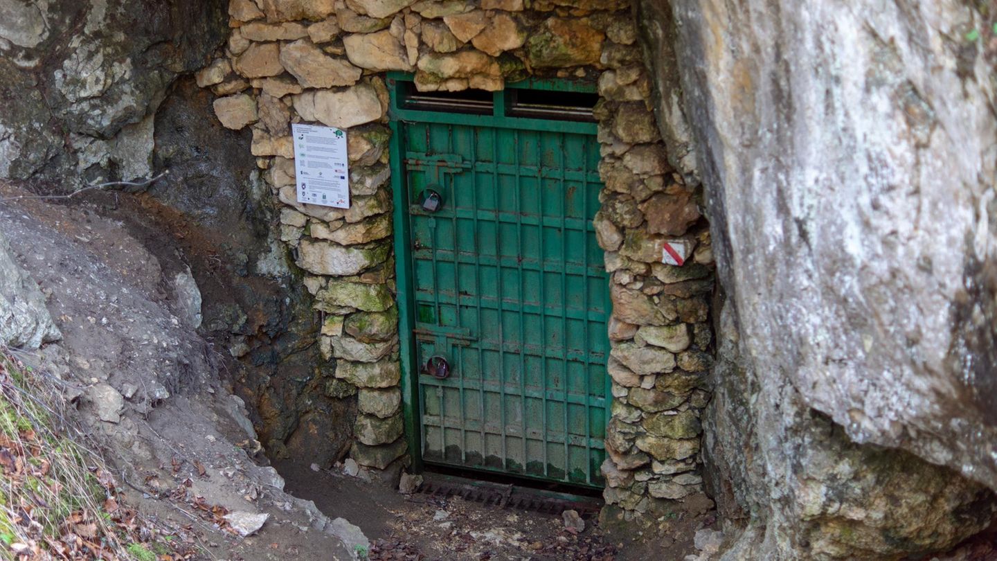 Fundort möglicher Kannibalismusspuren: Die Maszycka-Höhle im heutigen Südpolen