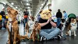 Hunde warten backstage auf ihren Start beim Agility Wettbewerb Hundeshow