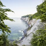 Kreidefelsen auf Rügen