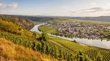 Weinberge im Moseltal, dahinter die Mosel