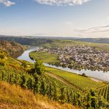 Weinberge im Moseltal, dahinter die Mosel