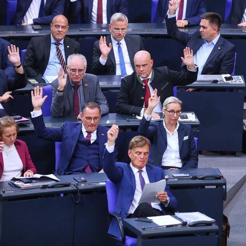 Die AfD-Fraktion im Bundestag
