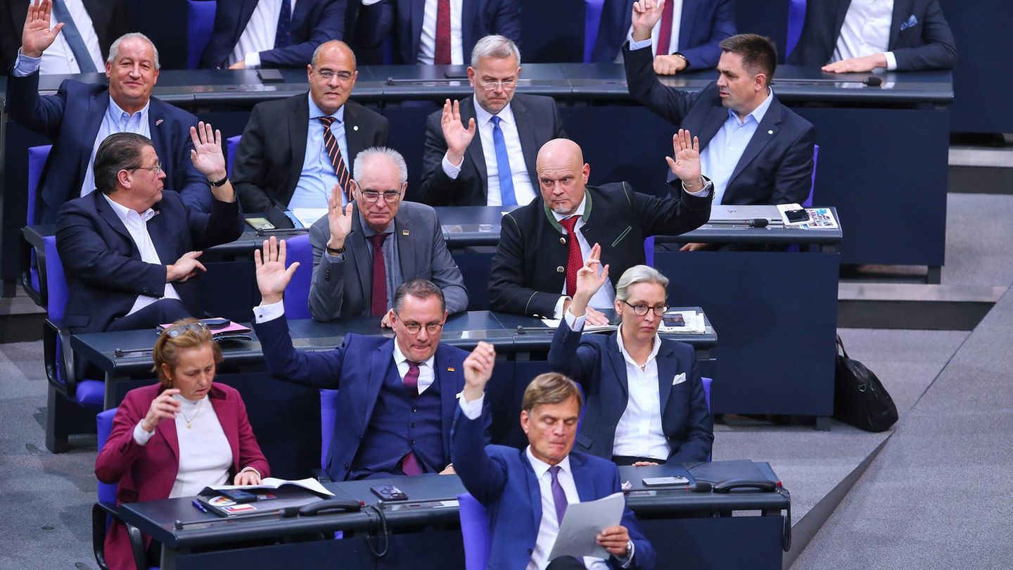 Pluming Bundestag: A MP does it particularly frequently