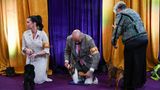 Backstage wird drei kleinen Hunden der letzte Schliff gegeben Hundeshow