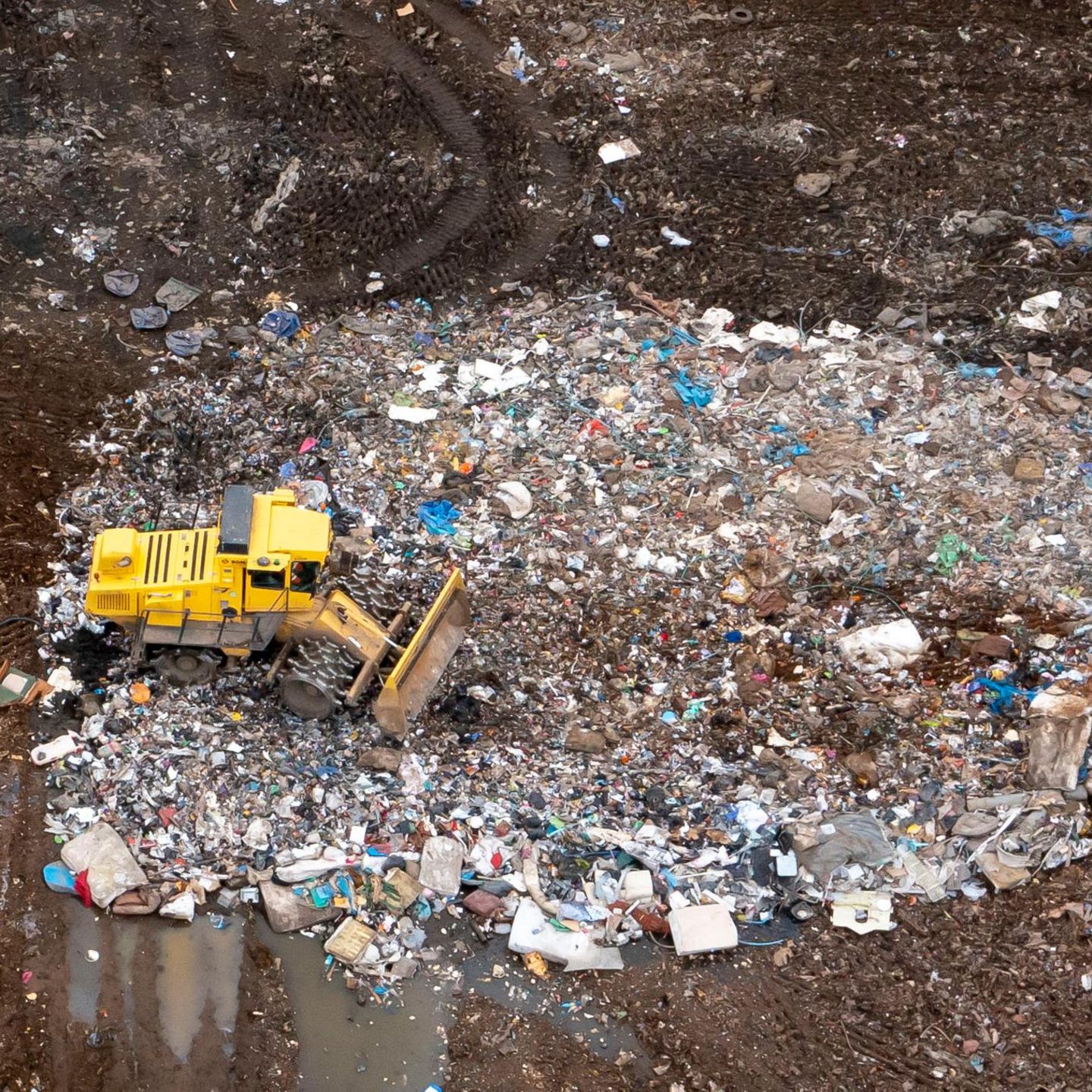 Bitcoin: Waliser will Müllhalde kaufen, auf der seine Festplatte liegt |  STERN.de