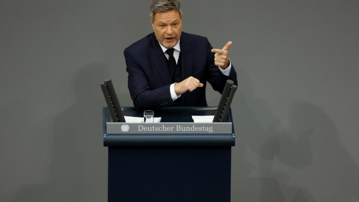 Habeck im Bundestag