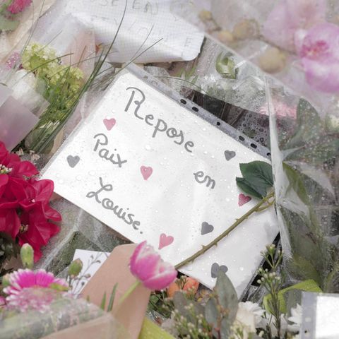 Südlich von Paris in Frankreich wurde am Samstag die Leiche der 11-jährigen Louise in diesem Waldstück entdeckt