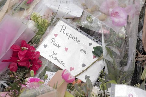 Südlich von Paris in Frankreich wurde am Samstag die Leiche der 11-jährigen Louise in diesem Waldstück entdeckt
