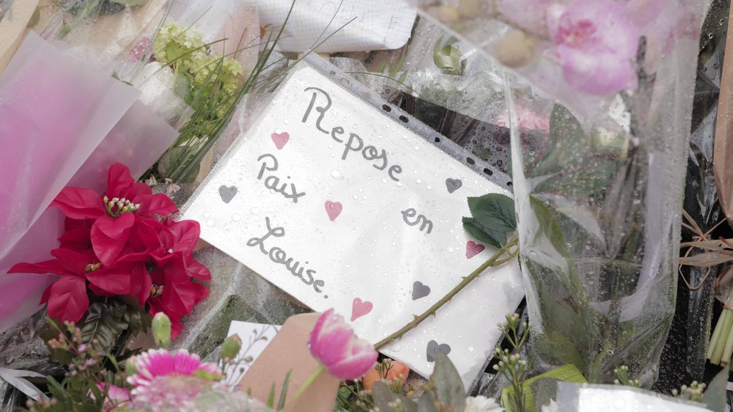 Südlich von Paris in Frankreich wurde am Samstag die Leiche der 11-jährigen Louise in diesem Waldstück entdeckt