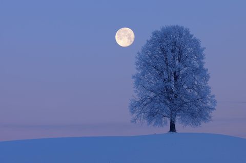 Von Vollmond sprechen wir, wenn der Mond aus unserer Sicht exakt gegenüber der Sonne liegt