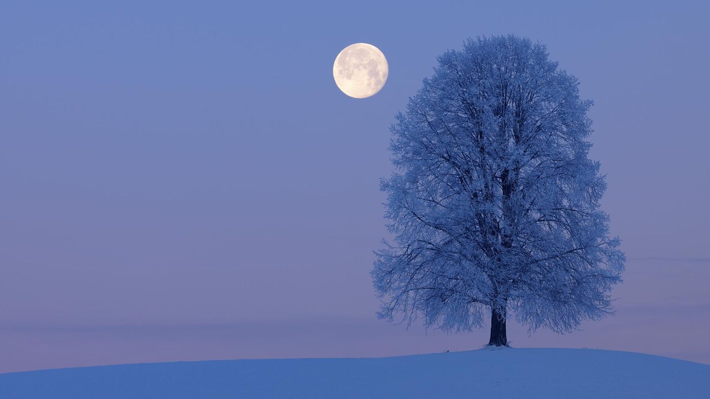 Von Vollmond sprechen wir, wenn der Mond aus unserer Sicht exakt gegenüber der Sonne liegt