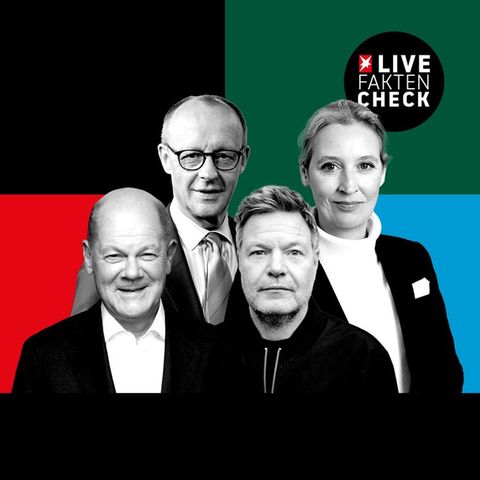 Montage shows Olaf Scholz, Friedrich Merz, Robert Habeck and Alice Weidel, the participants of the TV Quadrell