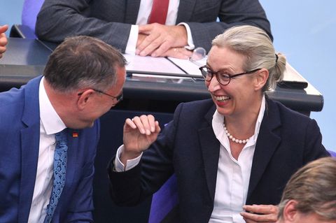 Alice Weidel von der AfD im Bundestag