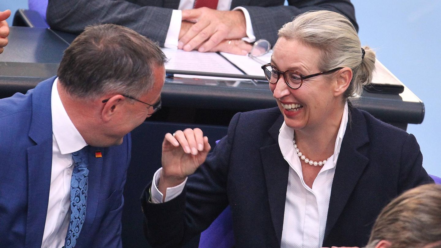 Alice Weidel von der AfD im Bundestag