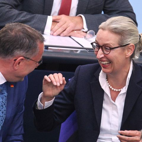 Alice Weidel vom AFD im Bundestag