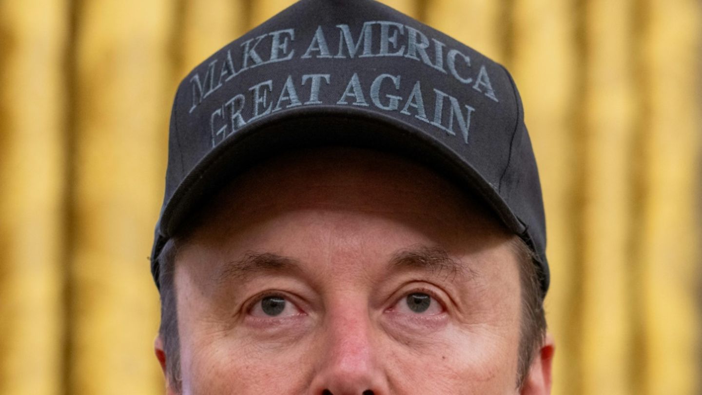 Elon Musk am 11. Februar im Weißen Haus