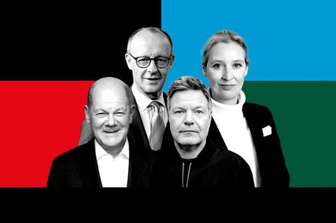 Montage zeigt Olaf Scholz, Friedrich Merz, Robert Habeck und Alice Weidel