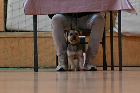 Wähler bei jüngster Landtagswahl in Brandenburg