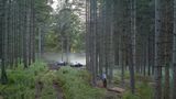 Gregory Crewdson