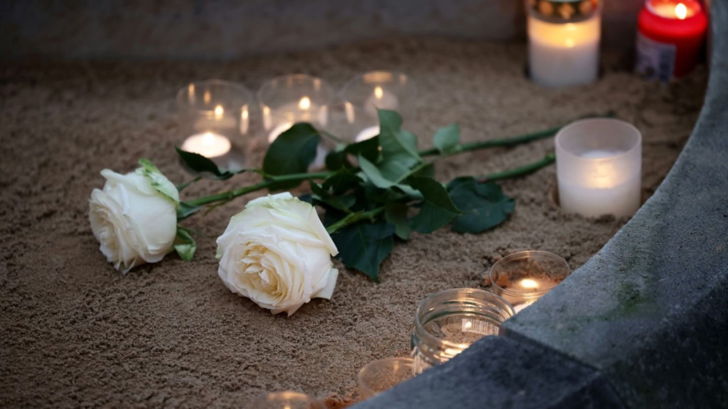 Weiße Rosen zum Gedenken an die Zerstörung Dresdens