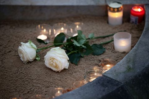 Weiße Rosen zum Gedenken an die Zerstörung Dresdens