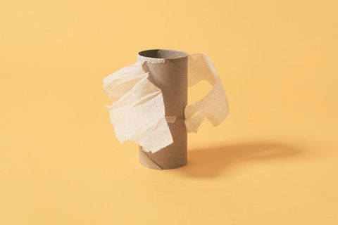 Eine leere Klopapierrolle