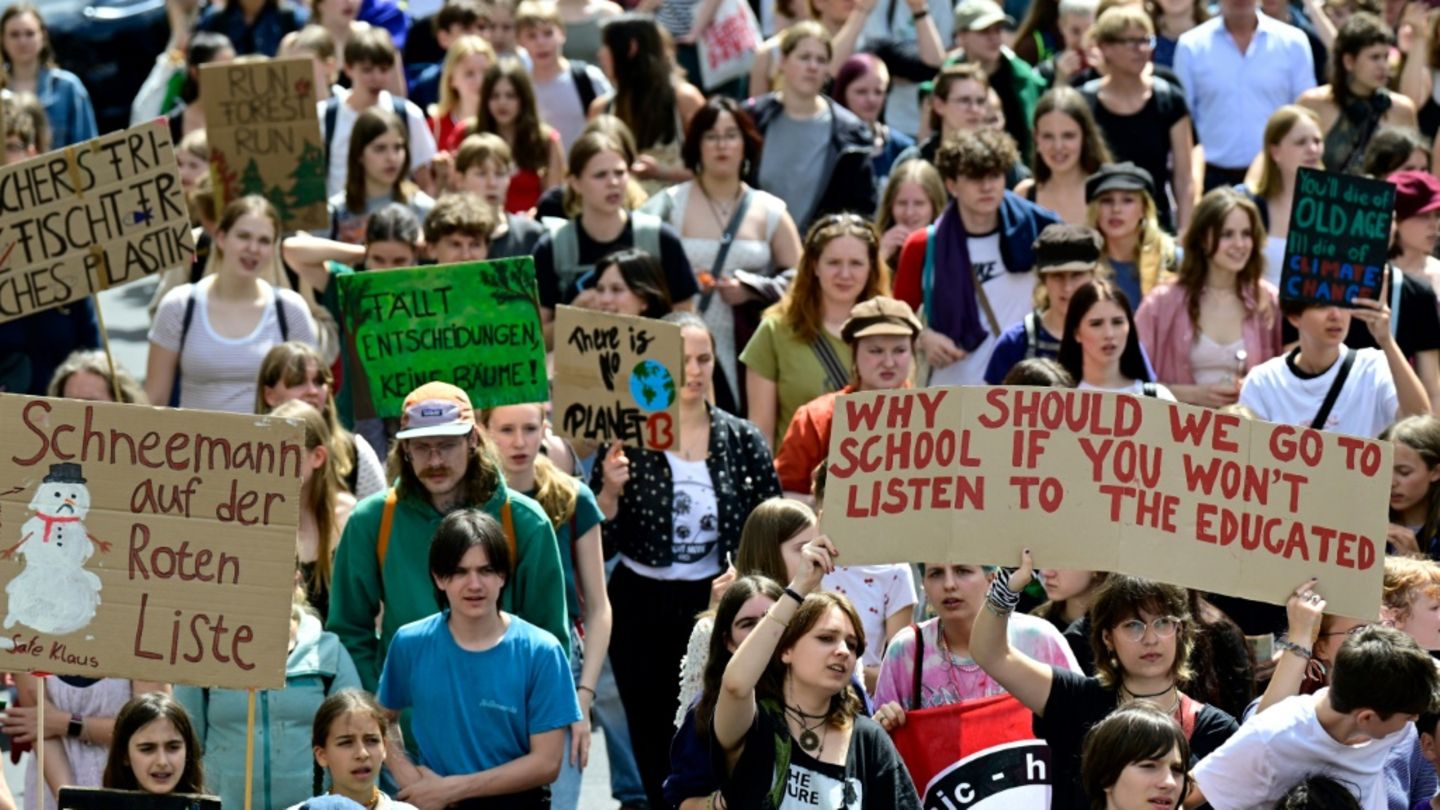 Teilnehmer bei früherem Klimastreik