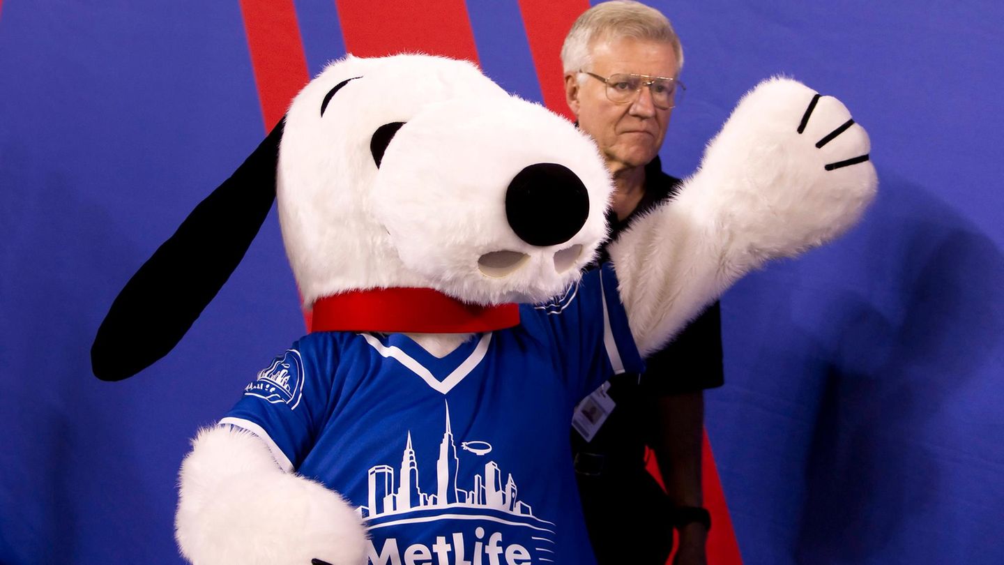 Maskottchen Snoopy mit einem MetLife T-Shirt beim NFL American Football der Herren im Jahr 2011