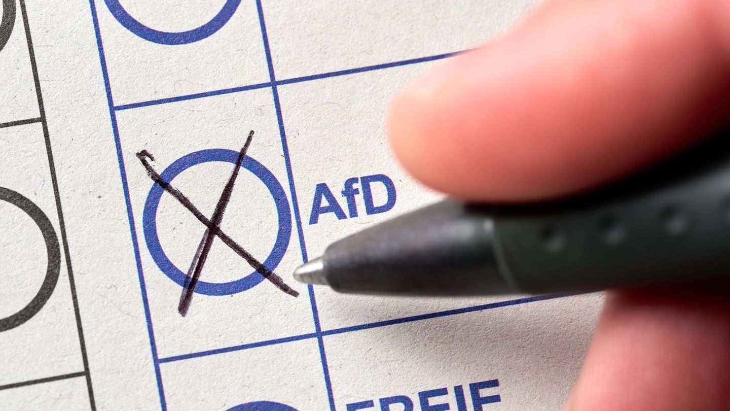 Bundestag election survey: Who chooses the AfD? Who wants Weidel?
