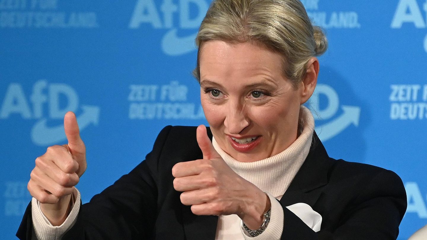 Alice Weidel