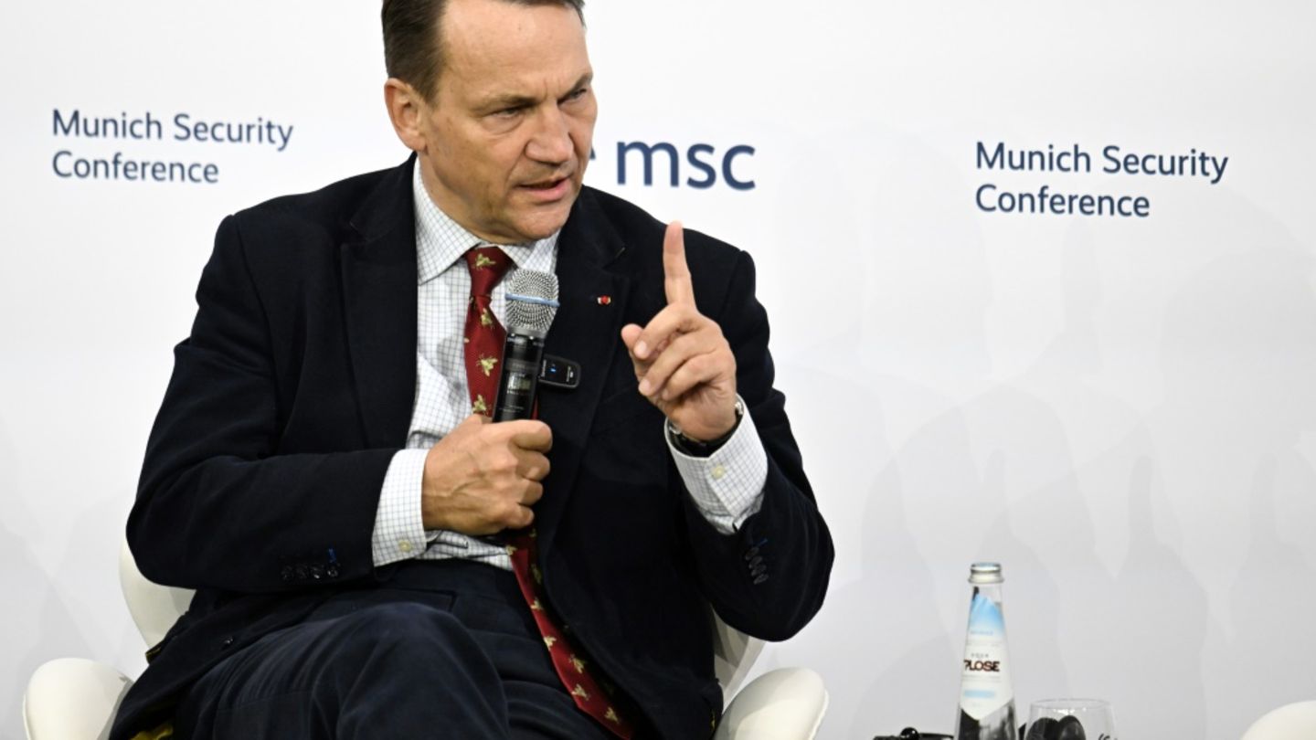 Polens Sikorski bei der Münchner Sicherheitskonferenz