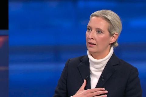 Weidel weicht "Vogelschiss"-Frage aus