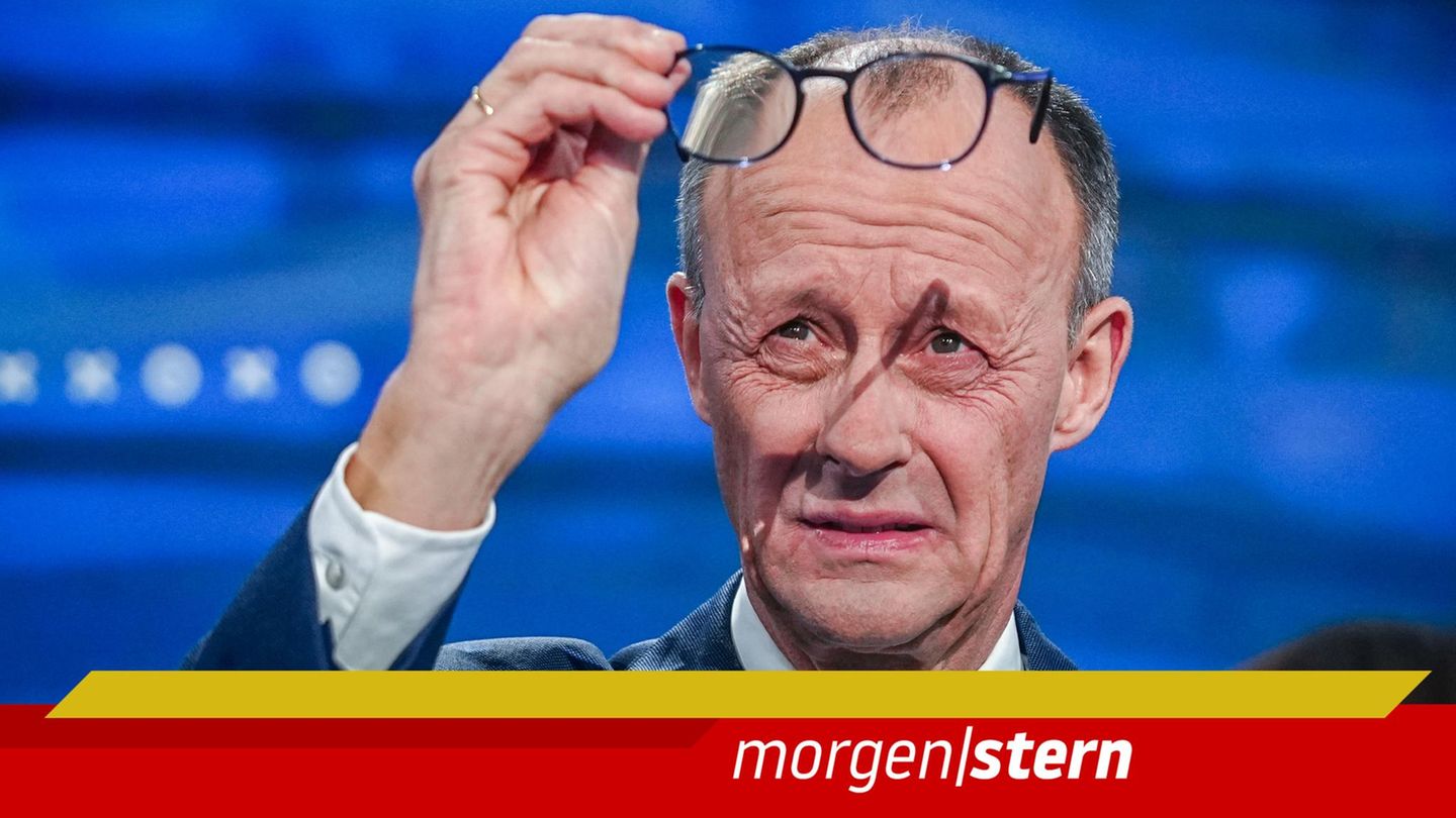Friedrich Merz Quadrell