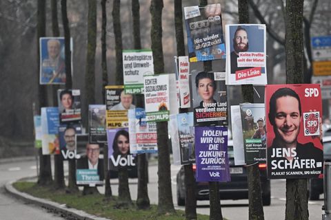 Viele Wahlplakate zur Bundestagswahl an Bäumen an einer Straße