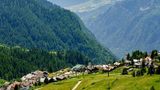 Chamois