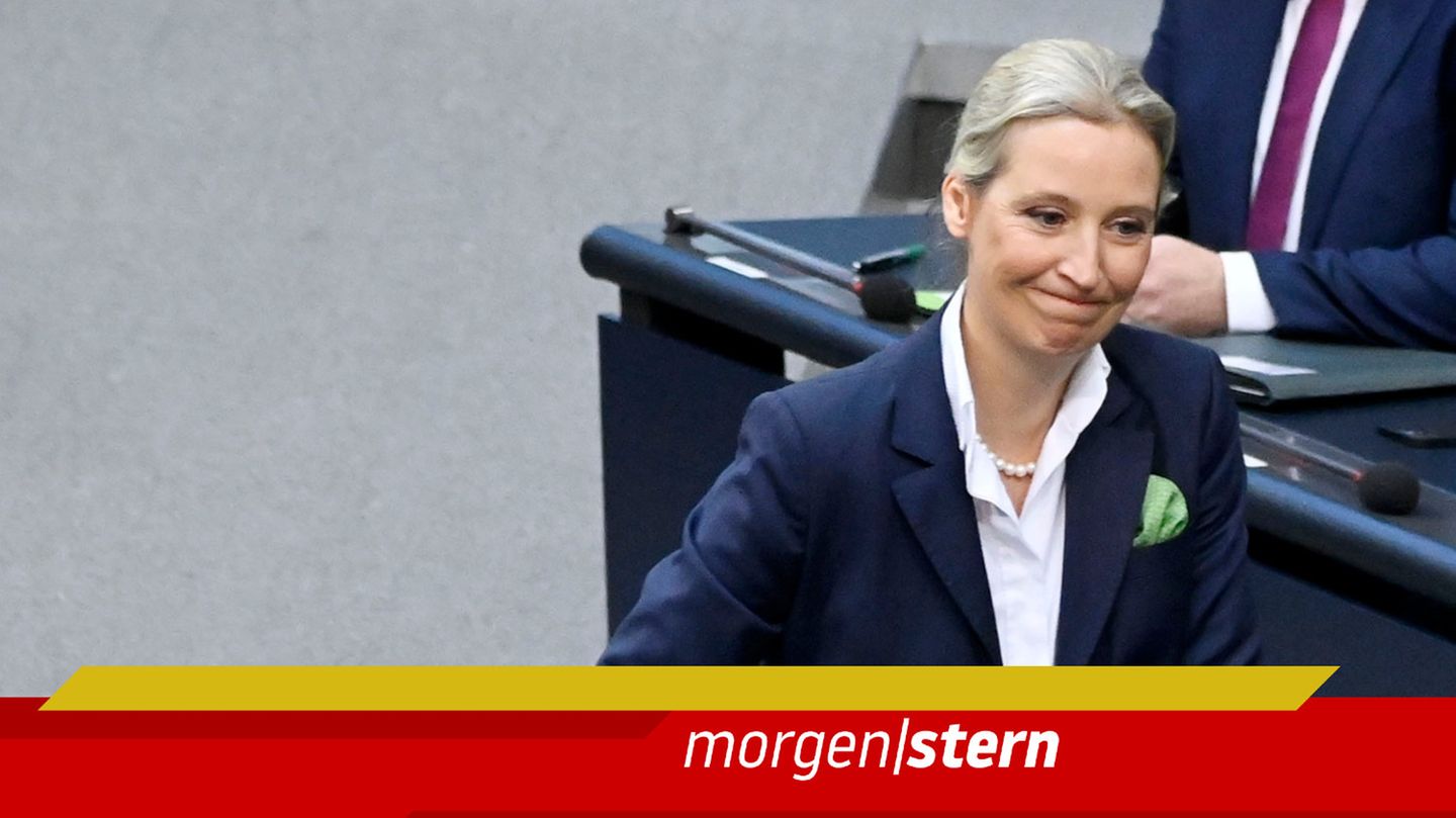 Alice Weidel von der AfD im Bundestag
