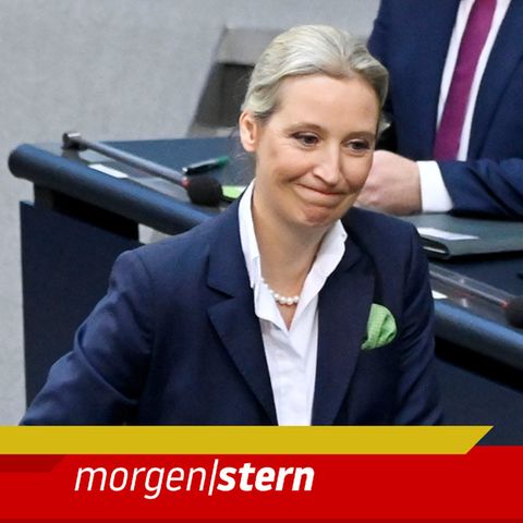 Alice Weidel von der AfD im Bundestag