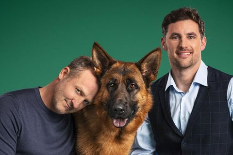 Kommissar Rex kommt zurück