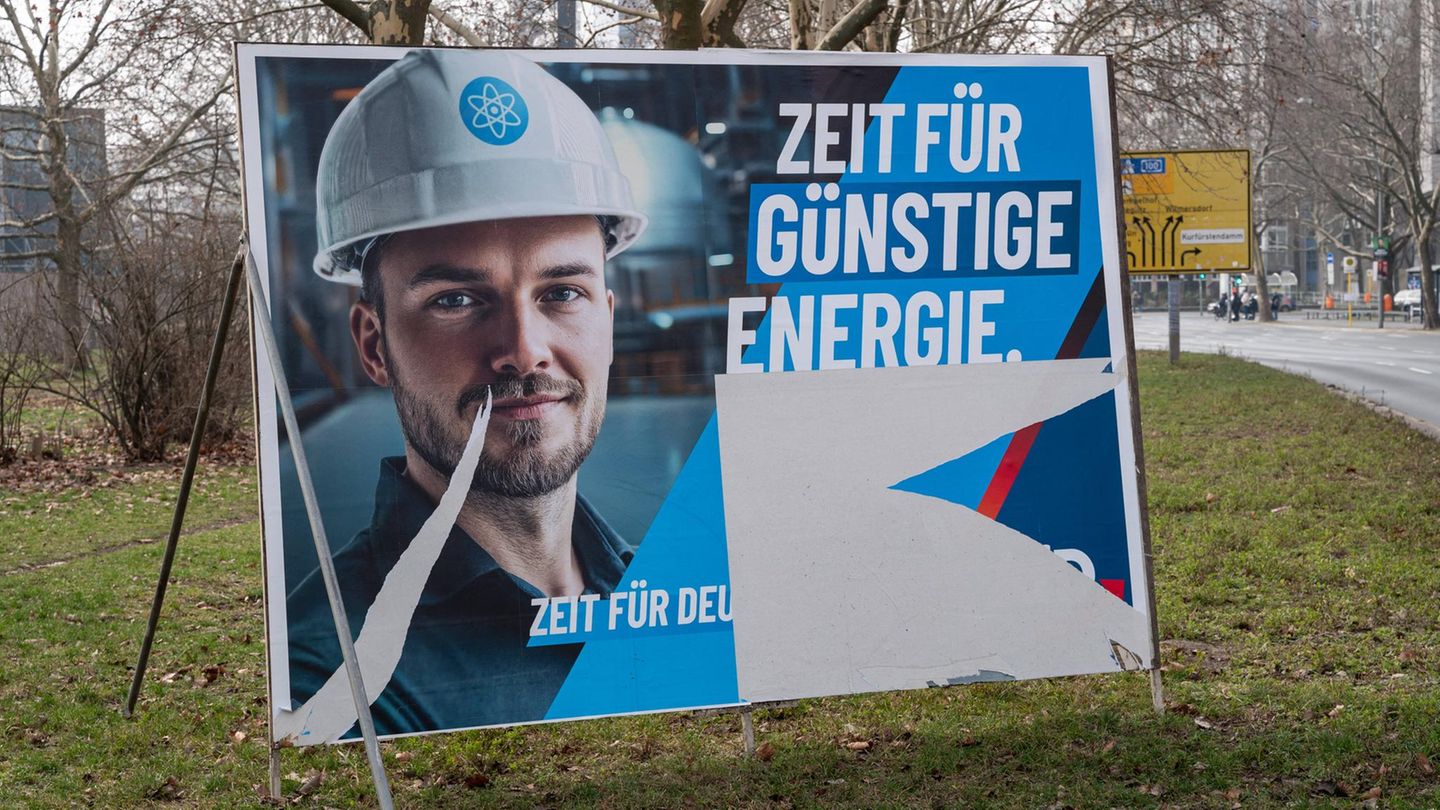 Ein beschädigtes Wahlplakat der AfD bei Berlin