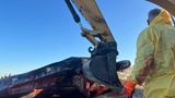 Ein Bagger bearbeitet den toten Pottwal auf Sylt