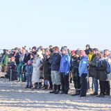 Eine Menschenmenge betrachtet den toten Pottwal auf Sylt