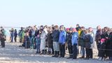 Eine Menschenmenge betrachtet den toten Pottwal auf Sylt