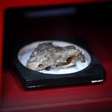 Gift: Das Element Arsen