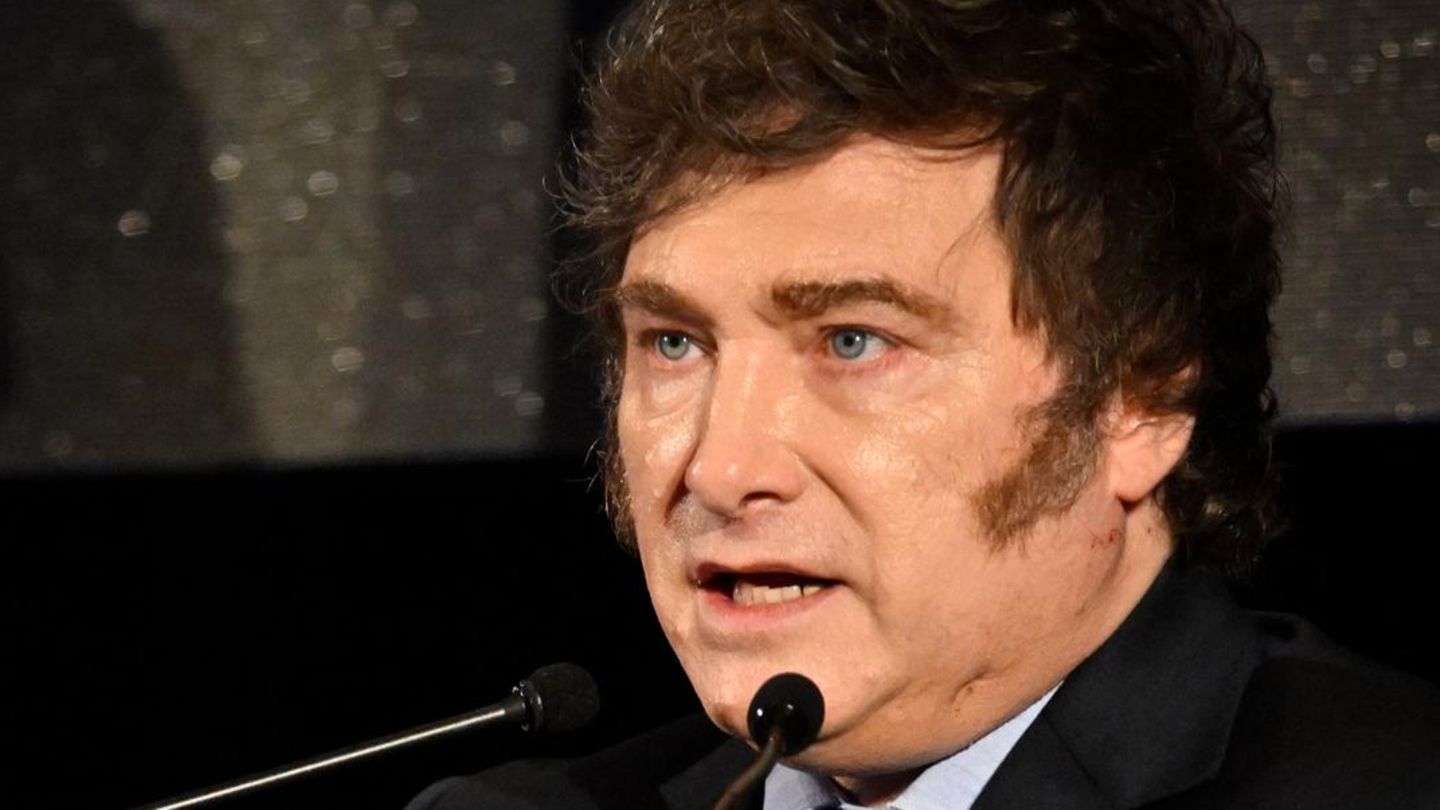Javier Milei hält im Dezember 2024 eine Rede auf dem Gipfel des Mercosur-Wirtschaftsbündnisses in Montevideo