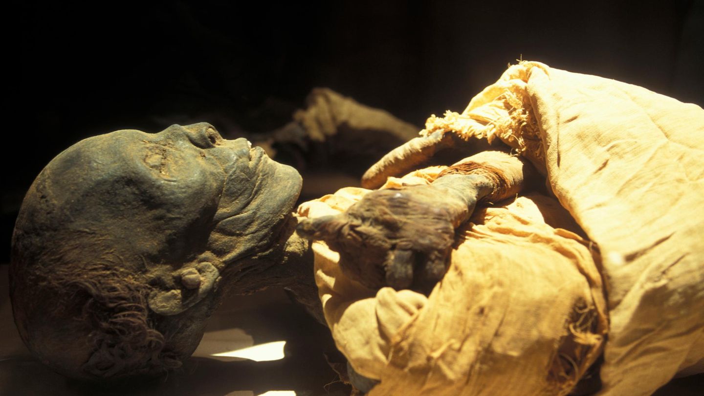 Die Mumie von Pharao Thutmosis IV