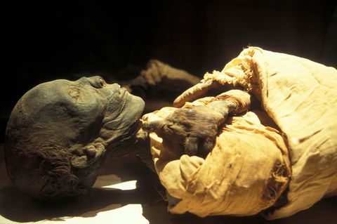 Die Mumie von Pharao Thutmosis IV